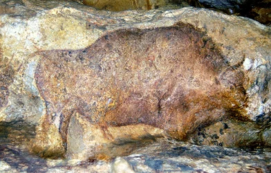 Bison in Font De Gaume, ca. 25.000 v. Chr.